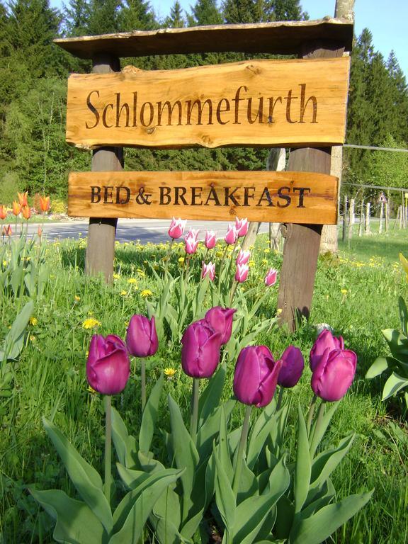 Bed & Breakfast Schlommefurth Bed & Breakfast St. Vith ภายนอก รูปภาพ